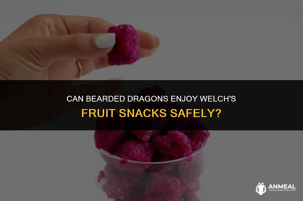 can bearded dragons eat welch