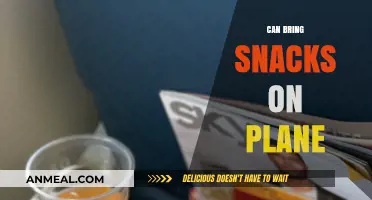 Snack Smart: What to Munch on During Your Next Flight