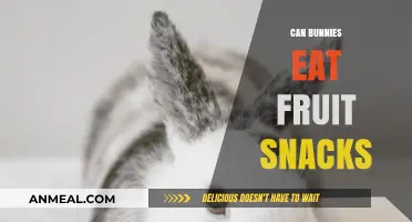 Fruity Delights: A Guide to Safe Snacks for Bunnies
