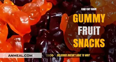 Feline Treats: Are Gummy Fruit Snacks Safe for Cats?