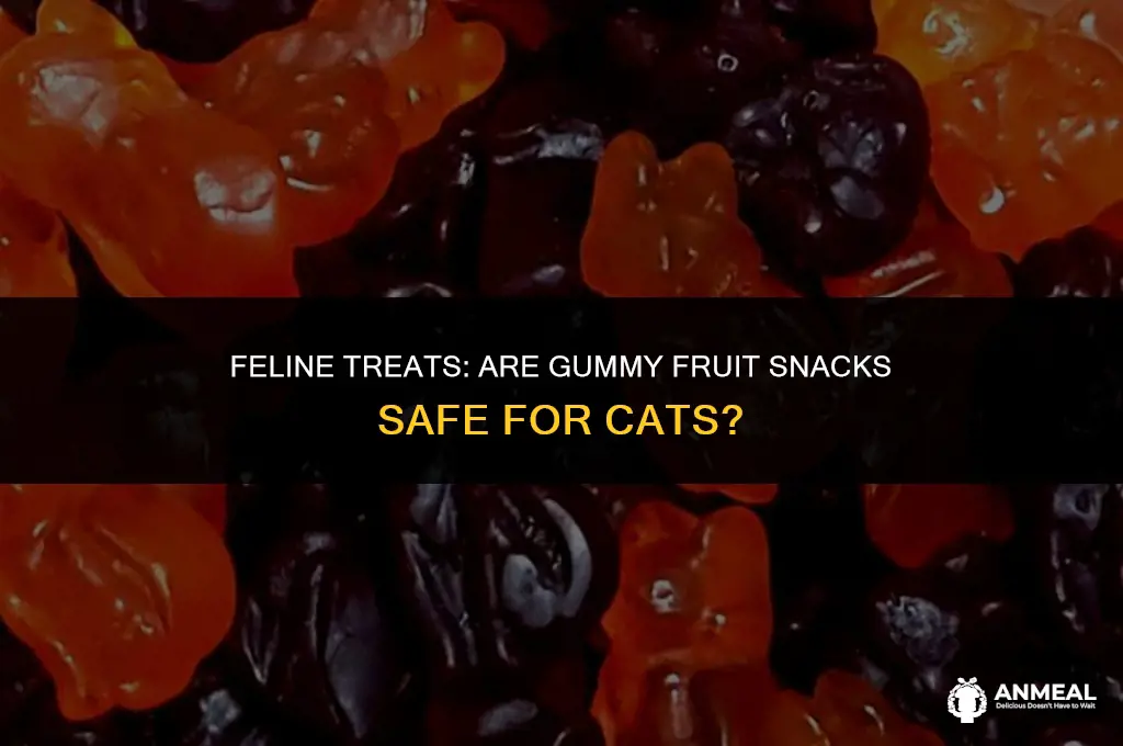 can cat have gummy fruit snacks