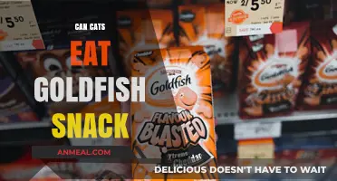Feline Snack Time: Are Goldfish Crackers Safe for Cats?