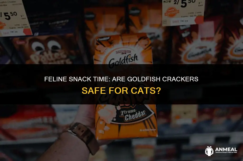 can cats eat goldfish snack