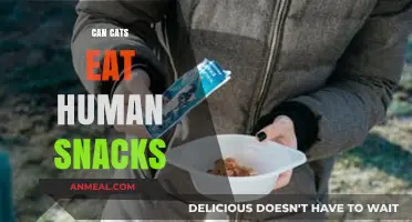 Feline Snack Attack: Can Your Cat Safely Munch on Human Treats?