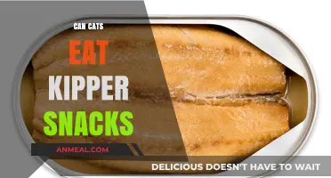 Feline Nutrition: Are Kipper Snacks Safe for Your Cat?