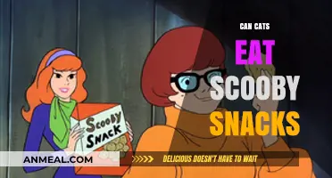 Feline Scooby Snack Dilemma: A Nutritional Analysis for Cat Owners