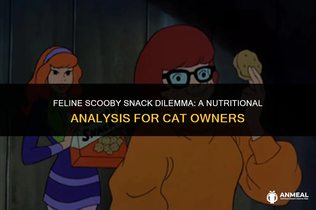 can cats eat scooby snacks