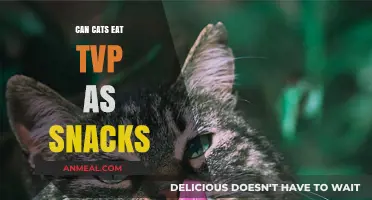 Exploring TVP as a Tasty and Nutritious Snack for Cats