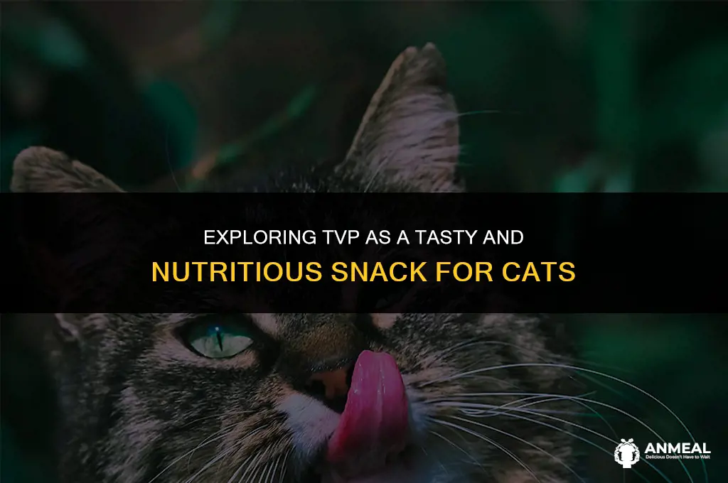 can cats eat tvp as snacks