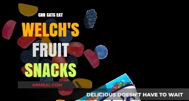 Feline Fruit Snack Dilemma: Are Welch's Safe for Cats?