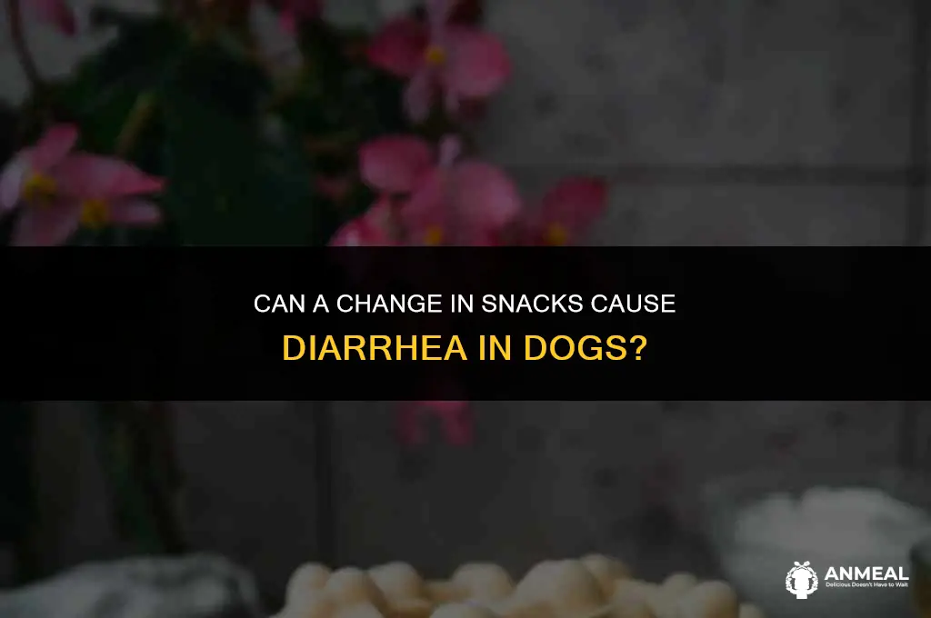 can change of snacks cause diarrhea in dogs