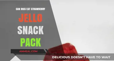 Can Dogs Enjoy Strawberry Jello Snack Packs? A Tasty Treat or Not?