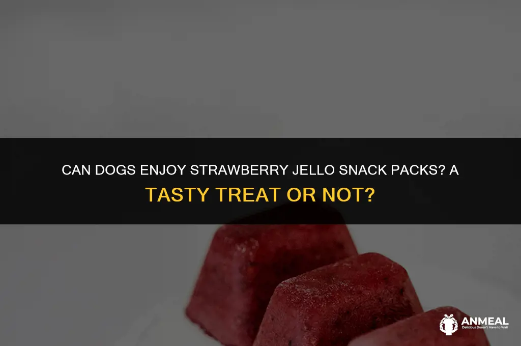 can digs eat strawberry jello snack pack