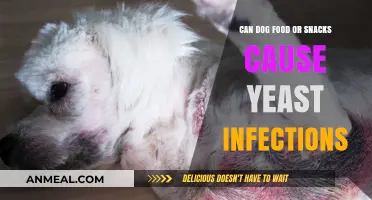 Can Dog Food or Snacks Cause Yeast Infections?