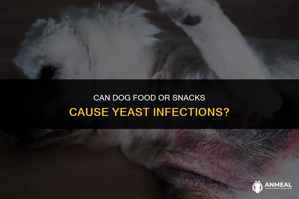 can dog food or snacks cause yeast infections