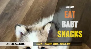 Can Dogs Eat Baby Snacks? A Comprehensive Guide for Pet Owners