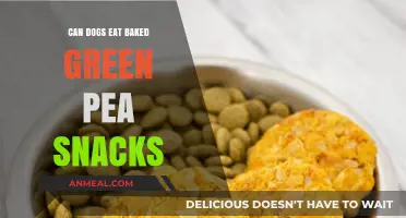 Can Dogs Enjoy Baked Green Pea Snacks? A Nutritional Guide