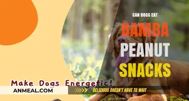 Can Dogs Enjoy Bamba Peanut Snacks? A Nutty Debate