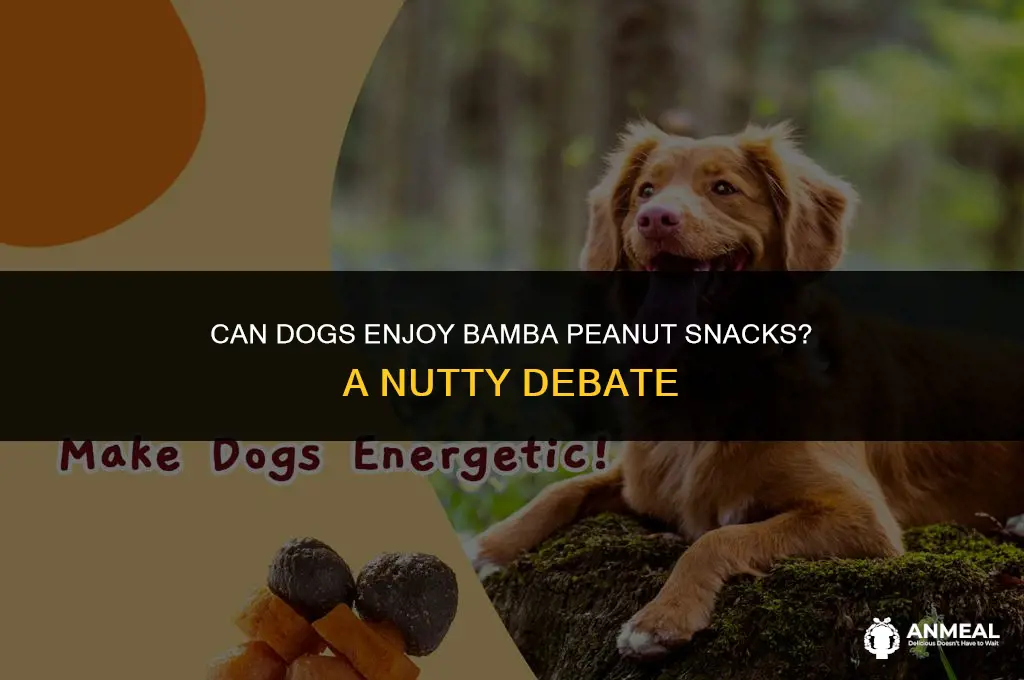 can dogs eat bamba peanut snacks