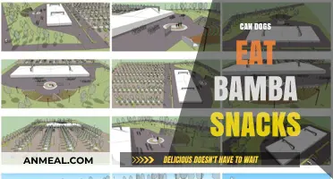 Can Dogs Enjoy Bamba Snacks? A Comprehensive Guide for Pet Owners