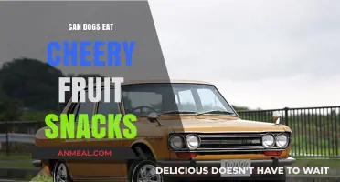 Can Dogs Enjoy Cherry Fruit Snacks? A Comprehensive Guide