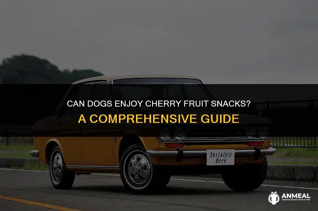 can dogs eat cheery fruit snacks