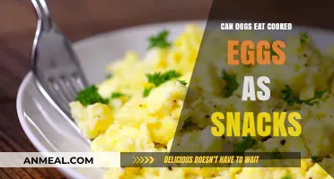 Egg-cellent Snacks: Are Cooked Eggs Safe for Dogs?