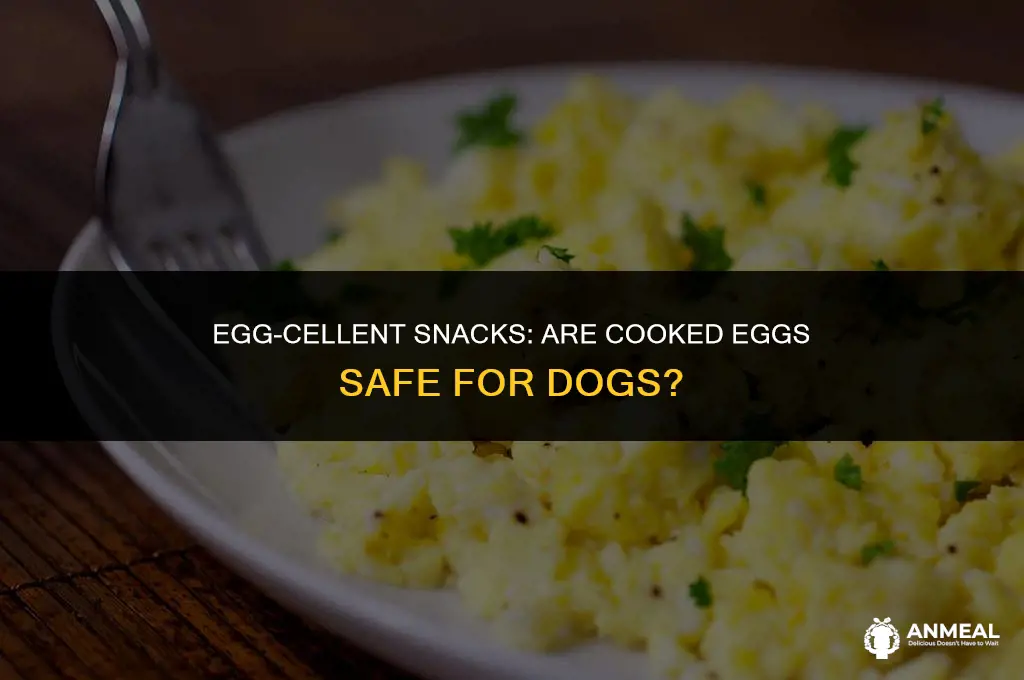 can dogs eat cooked eggs as snacks