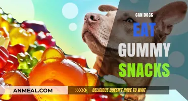 Can Dogs Enjoy Gummy Snacks? A Comprehensive Guide for Pet Owners