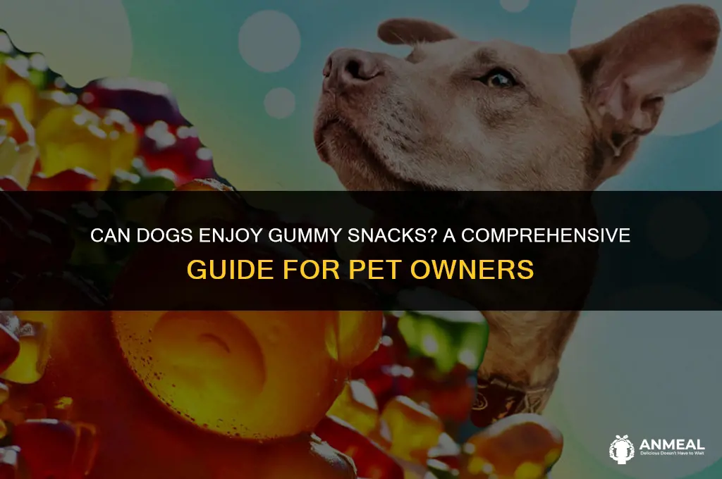 can dogs eat gummy snacks