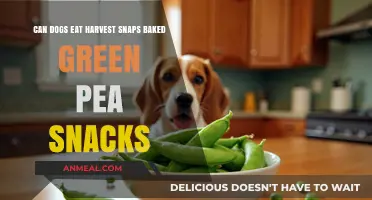 Can Dogs Munch on Harvest Snaps? A Green Pea Snack Guide