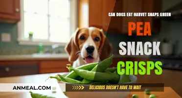 Can Dogs Munch on Harvest Snaps Green Pea Crisps?