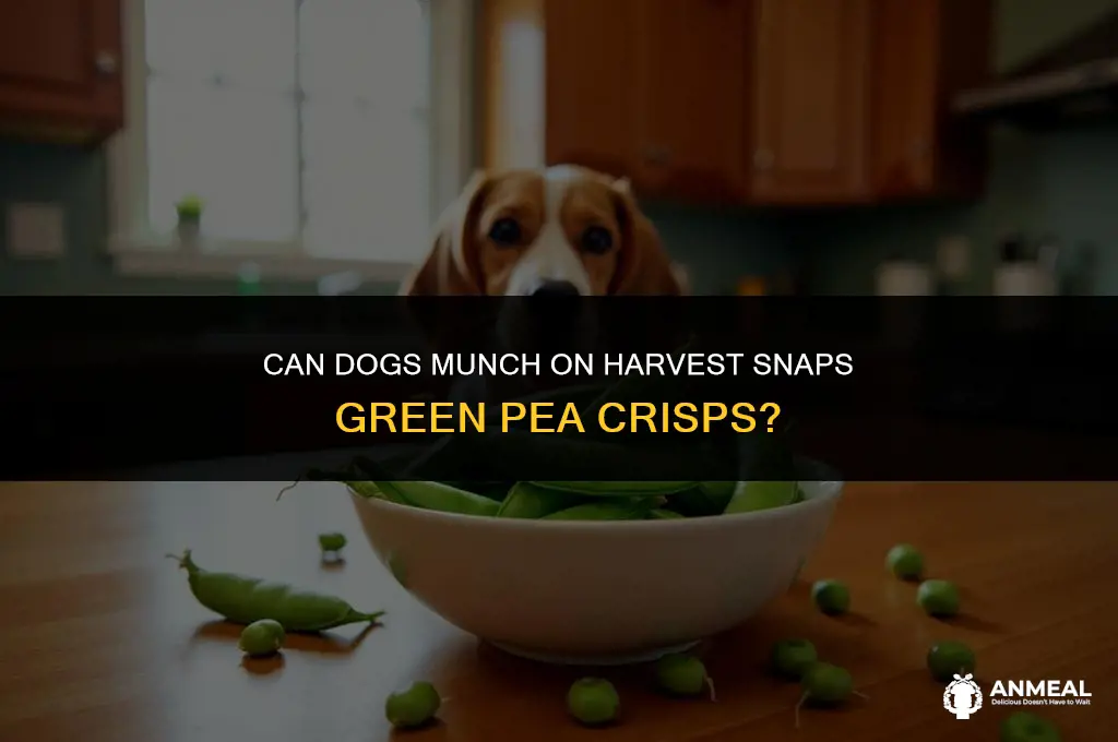 can dogs eat harvet snaps green pea snack crisps