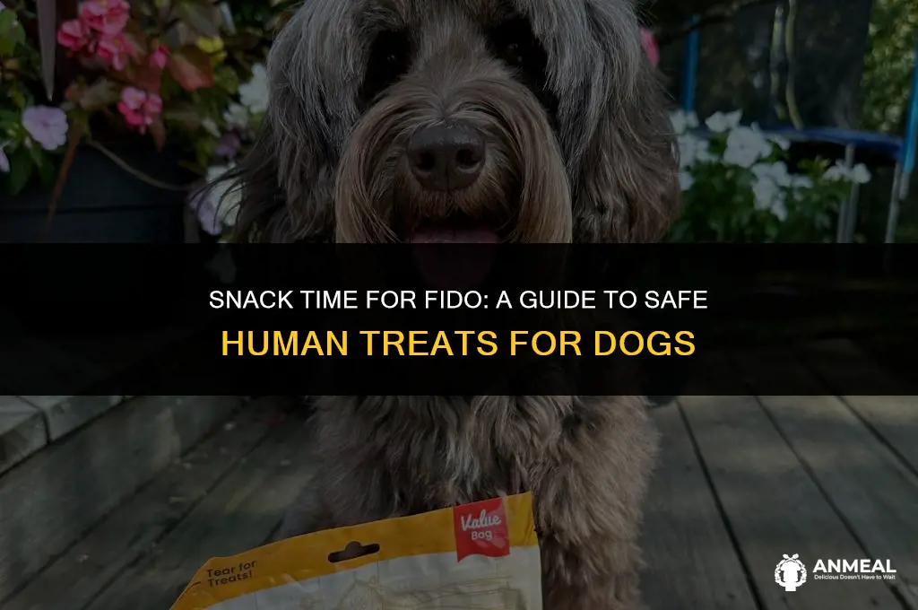 can dogs eat human snacks