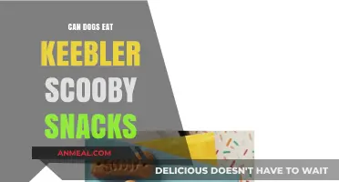 Can Dogs Enjoy Keebler Scooby Snacks? A Tasty Investigation