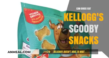 Can Dogs Enjoy Kellogg's Scooby Snacks? A Tasty Investigation