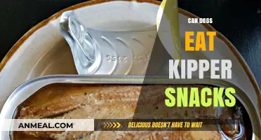 Can Dogs Enjoy Kipper Snacks? A Comprehensive Guide for Pet Owners