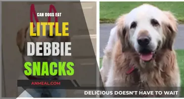 Can Dogs Indulge in Little Debbie Snacks? A Pet Owner's Guide