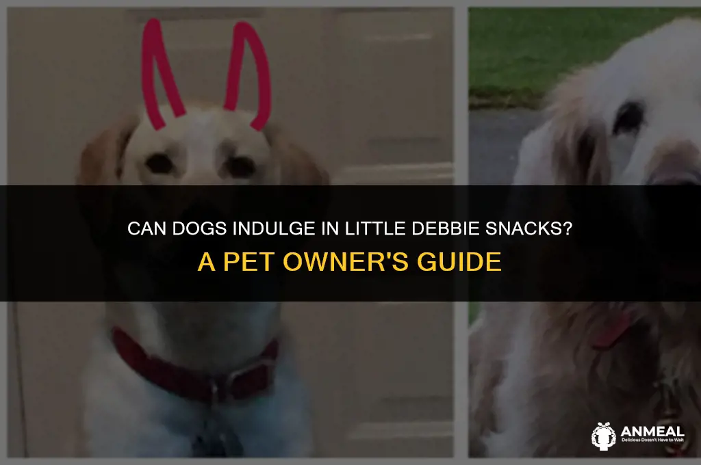 can dogs eat little debbie snacks