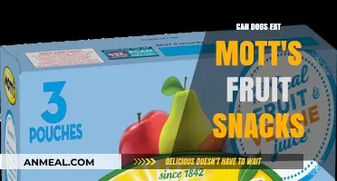 Can Dogs Enjoy Mott's Fruit Snacks? A Comprehensive Guide