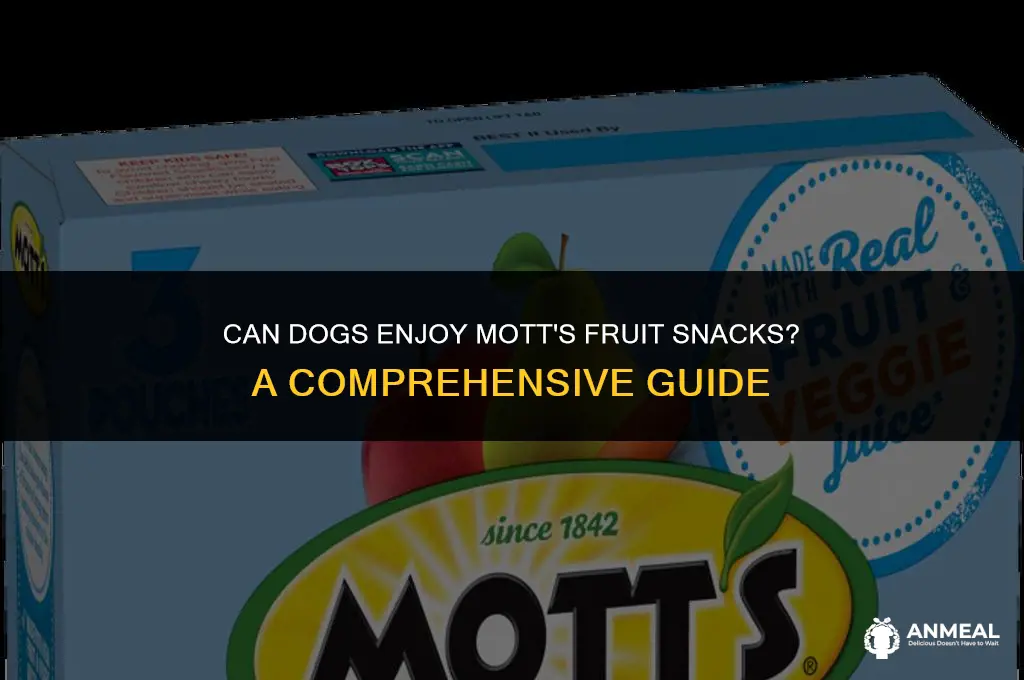 can dogs eat mott