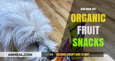 Can Dogs Enjoy Organic Fruit Snacks? A Healthy Treat Guide