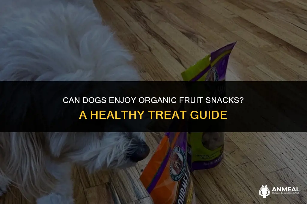 can dogs eat organic fruit snacks
