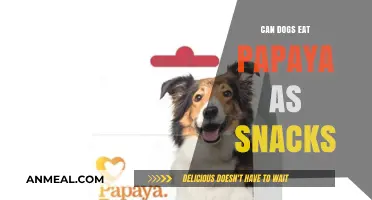 Papaya as a Snack for Dogs: Healthy or Harmful?