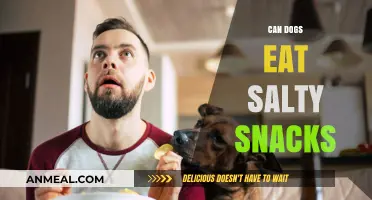 Paws and Reflect: The Salty Snack Dilemma for Dogs