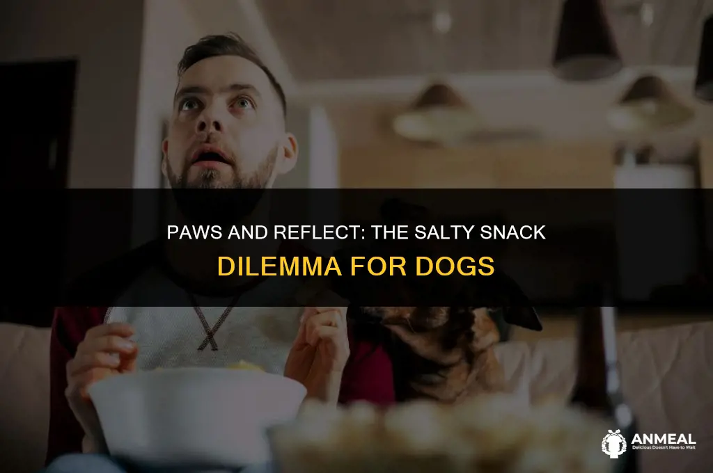 can dogs eat salty snacks