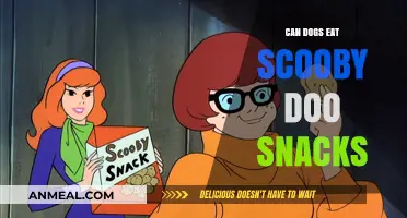 Can Dogs Enjoy Scooby Doo Snacks? A Tasty Investigation