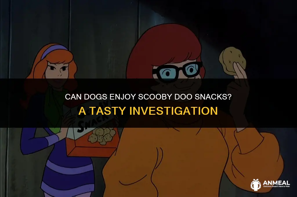 can dogs eat scooby doo snacks