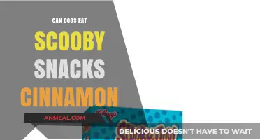 Can Dogs Enjoy Scooby Snacks Cinnamon Treats Safely?