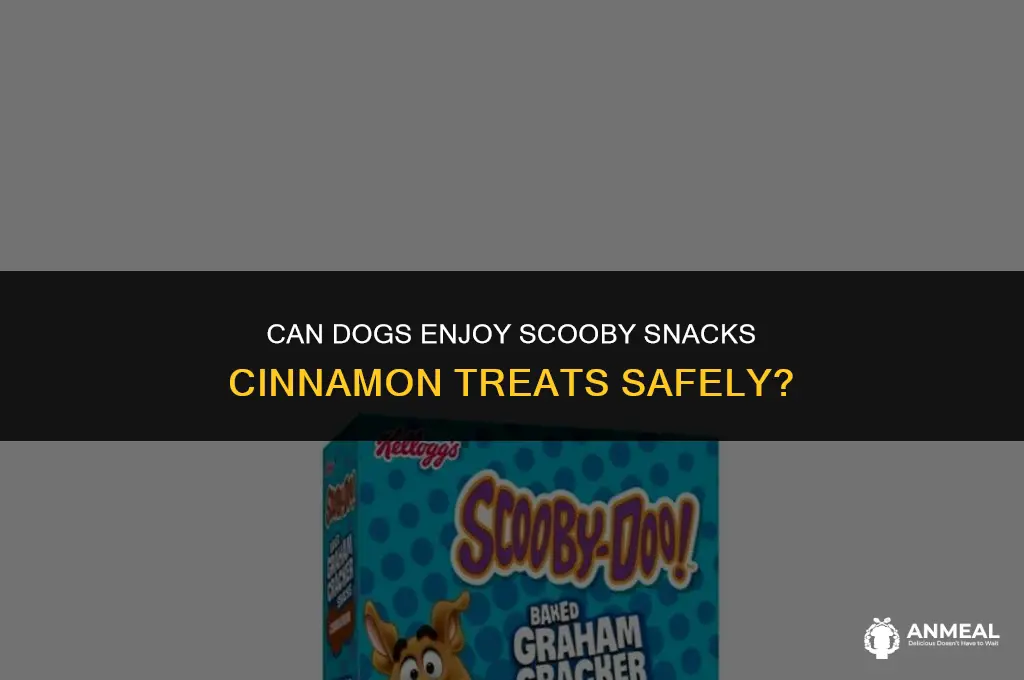 can dogs eat scooby snacks cinnamon